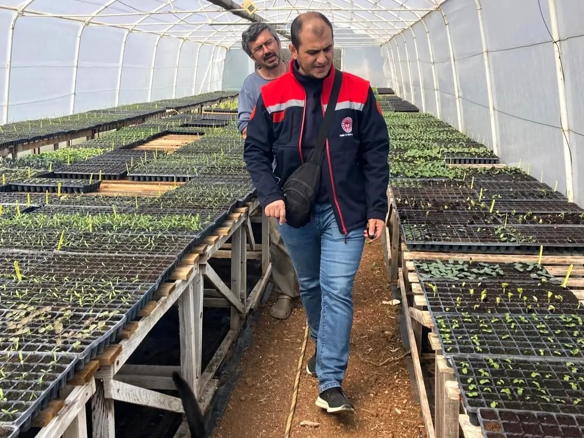 Pınarhisar’da Çiftçilere Serada Üretim ve Hastalık Yönetimi Eğitimi