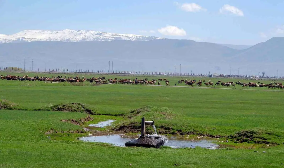 Erzurum’da Çiftçiler İklim Değişikliğine Nasıl Uyum Sağlıyor? Tarımsal Üretimde Yeni Yaklaşımlar