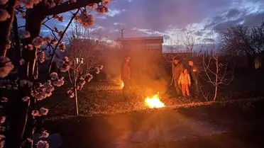 Erzincan’da Don Tehlikesi Çiftçileri Zor Duruma Sokuyor