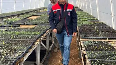 Serada uygulanan yeni teknikler