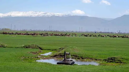 Tarımda iklim uyum modeli