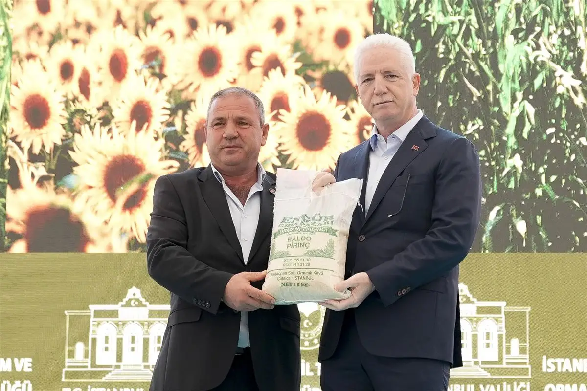 Çatalca’da Çeltik, Ayçiçeği ve Silajlık Mısır Tohumları Resmen Teslim Edildi