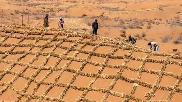 Tengger Çölü'nde Yeni Bariyer Tasarımı Verimliliği Artırıyor