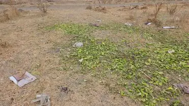 Ticaret Bakanlığı Görsel Manipülasyonunu Açıklıyor: Eski Biber Fotoğrafları Sahte Yayılıyor