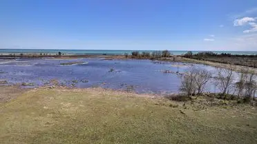Ondokuz Mayıs Üniversitesi'nden Kızılırmak Deltası'nda 17 Hektarlık Kuş Habitatı Projesi