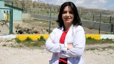 Van Belediyesi Gıda Atıklarını Dönüştürerek Sokak Köpeklerine Mama Üretiyor