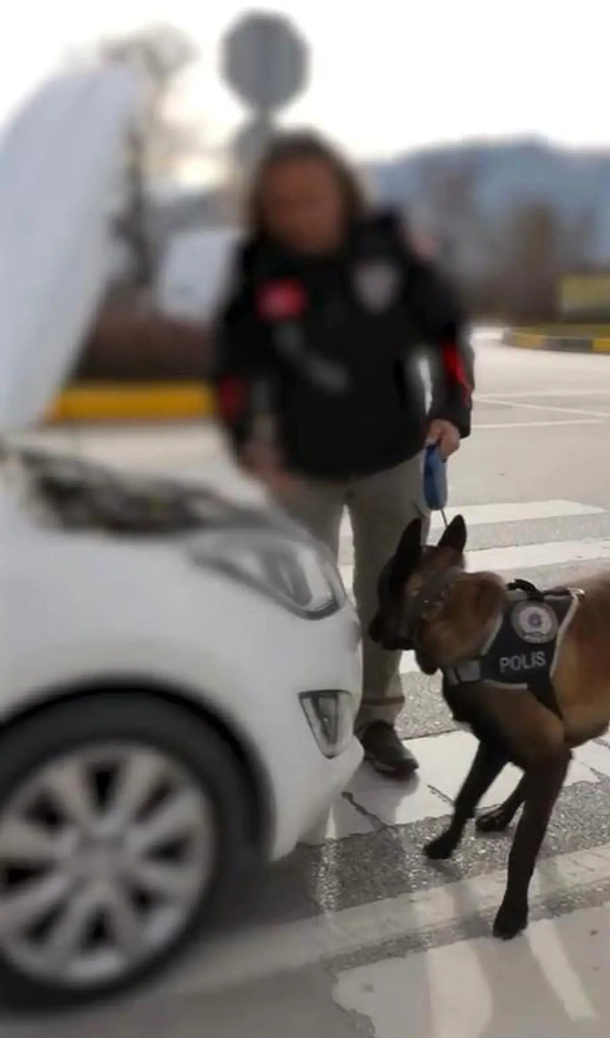 Isparta'da 33 Şüpheliye İlişkin Geniş Narkotik Operasyonu