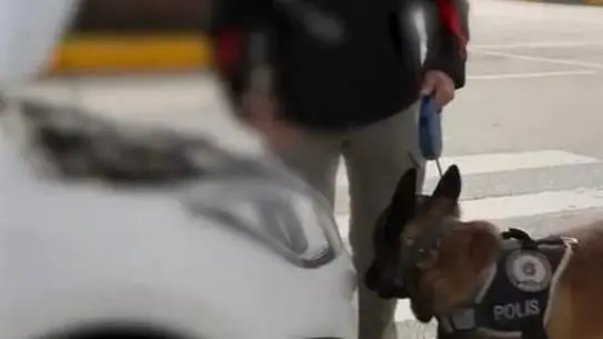 Isparta'da 33 Şüpheliye İlişkin Geniş Narkotik Operasyonu