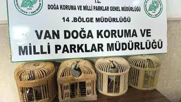 Gevaş’ta Kafes Avcılığına 86.278 TL’lik Para Cezası Kesildi