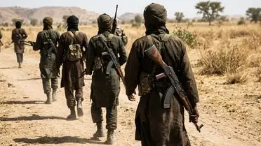 Nijerya'nın Kuzeydoğusunda Boko Haram Saldırısı: 7 Asker Hayatını Kaybetti