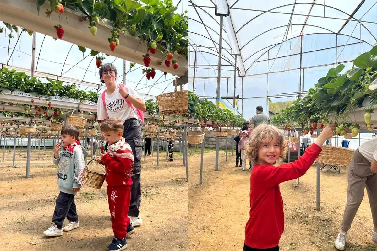 ALKÜ Anaokulu öğrencileri fidan dikiyor