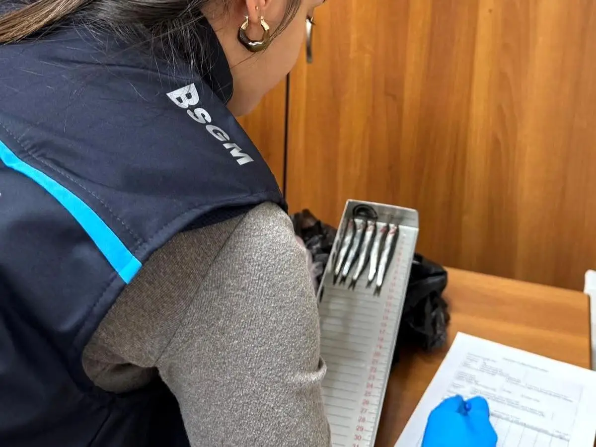 Kırklareli Demirköy'de Av Sezonu Sonunda Sürdürülebilir Balıkçılık Denetimleri Yoğunlaşıyor