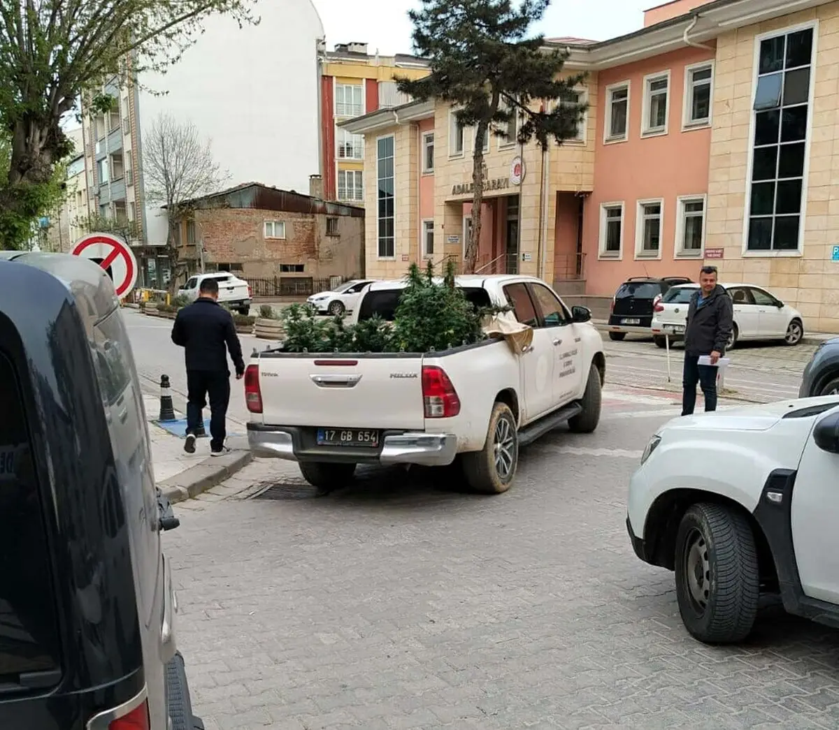 Çanakkale Çan İlçesinde Kenevir Yetiştiriciliği Operasyonu: U.U. Gözaltına Alındı