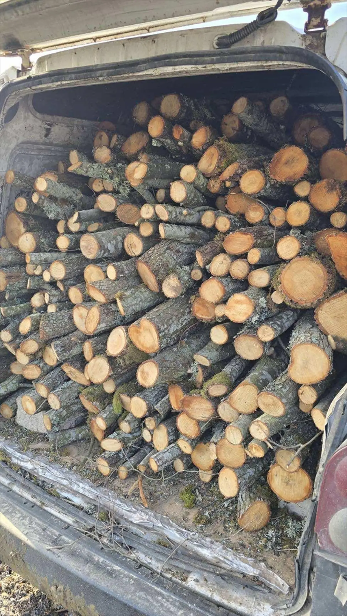 Bilecik’te Kaçak Odun Taşıyan Şüpheli Jandarmaya Ele Verildi