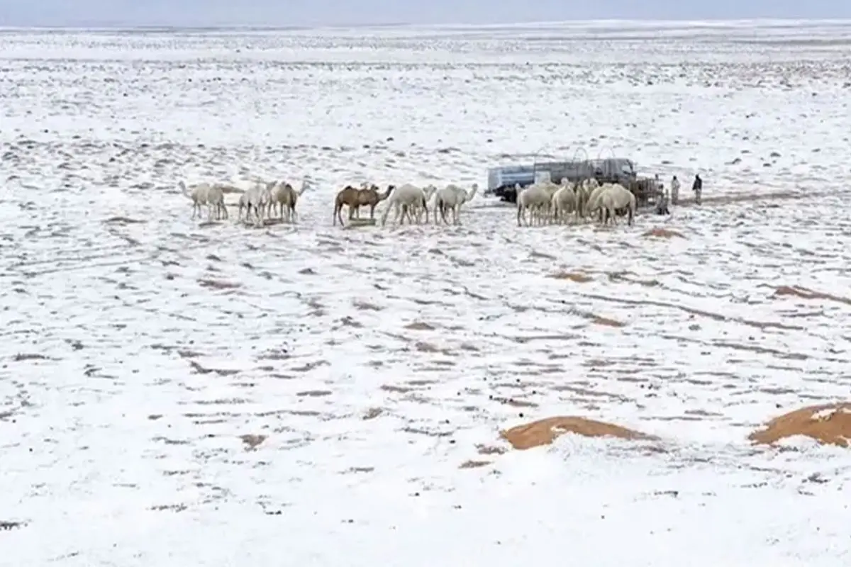 Riyad’da Şiddetli Dolu Yağışı Çölleri Beyaz Bir Manzaraya Dönüştürdü