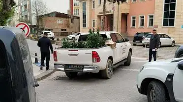 Çanakkale Çan İlçesinde Kenevir Yetiştiriciliği Operasyonu: U.U. Gözaltına Alındı