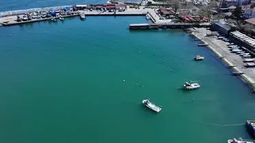 Batı Karadeniz'de Balıkçılık Zorlu Sezonla Karşılaşıyor: Gelecek Umutları