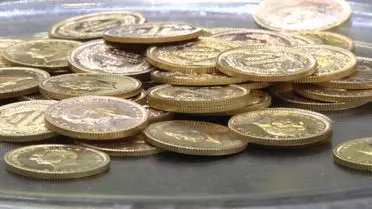 Elazığlı İş Adamı, İsviçre'deki 6 Ton Altın Mirasını Türkiye'ye Getirmek İçin Hukuki Mücadele Veriyor