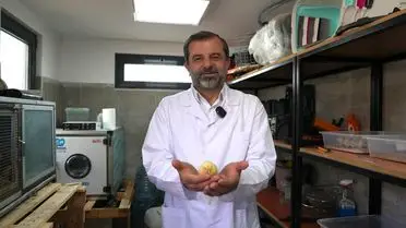 Gürsu’nun Butik Hayvanat Bahçesi Yeni Misafirleriyle Şaşırttı