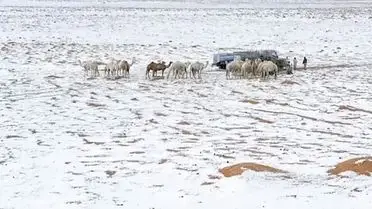 Riyad’da Şiddetli Dolu Yağışı Çölleri Beyaz Bir Manzaraya Dönüştürdü