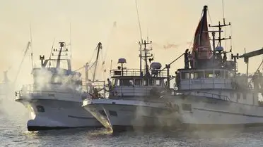 Yakakent’te Türk Somonu Hasat Şenliği 9 Mayıs’ta Coşkuyla Başlıyor