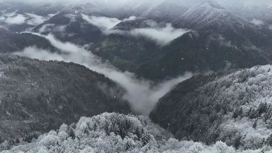 Ayder Yaylası'nda Kar Kalınlığı 20 cm'ye Ulaştı: Kış Turizmi Canlanıyor