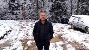 Yenice'de Ağaç Kesimi Sırasında İşçi Hayatı Yitirdi