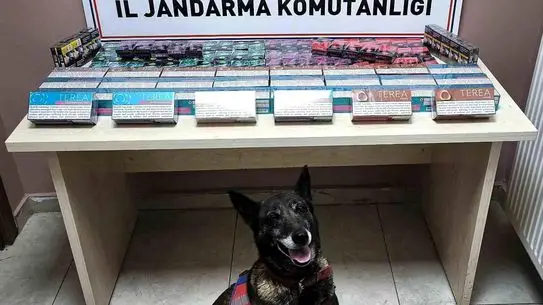 Kayseri'de Bandrolsüz Sigara ve E-Sigara Kartuşu Operasyonu: 158 Paket Ele Geçirildi
