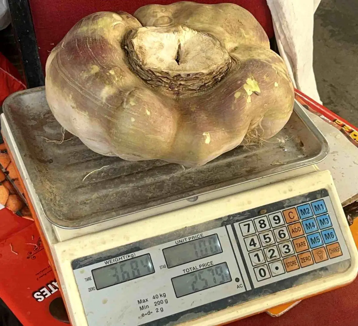 Batman pazarında 4 kg'lık dev turp