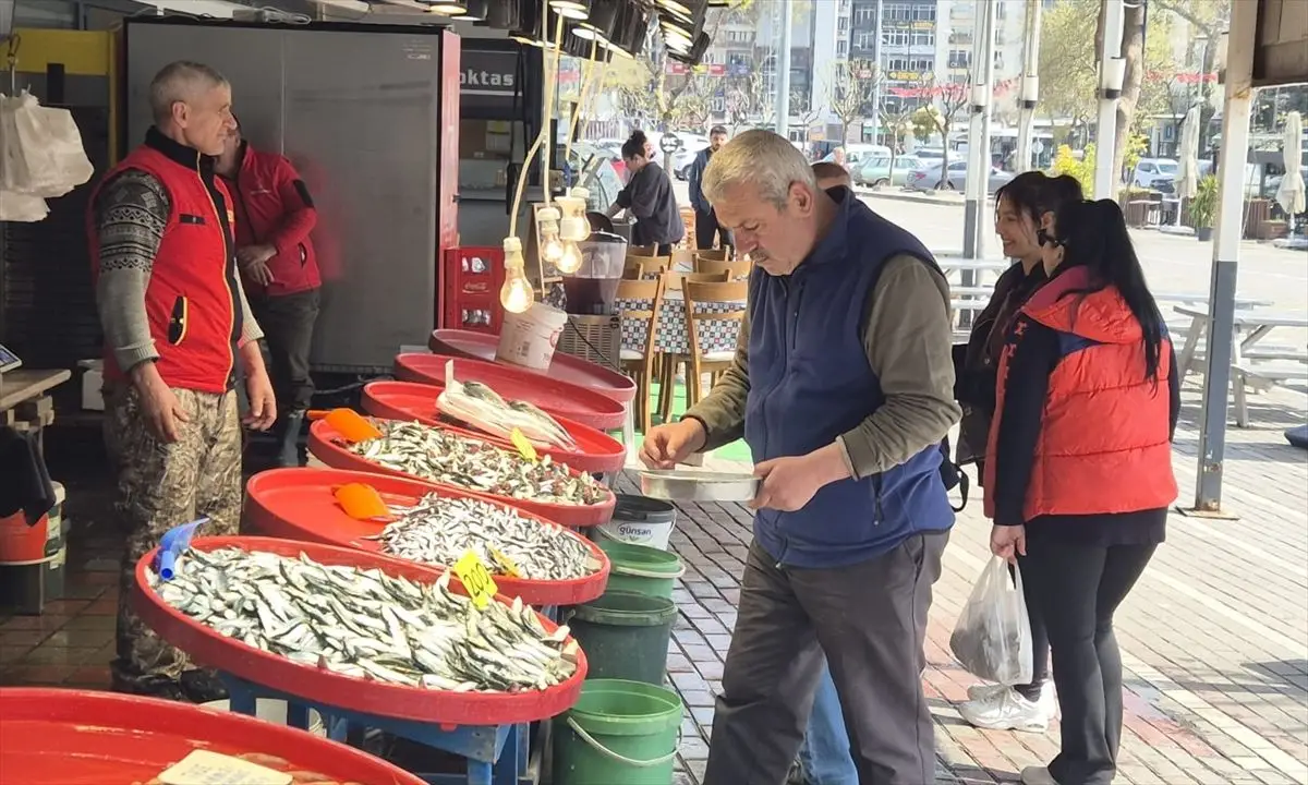 Güney Marmara ve Kuzey Ege'de balıkçılar