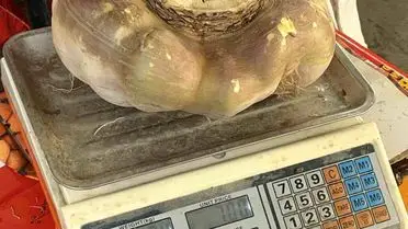 Batman Pazarı'nda 4 Kiloluk Dev Turp Göz Kamaştırdı