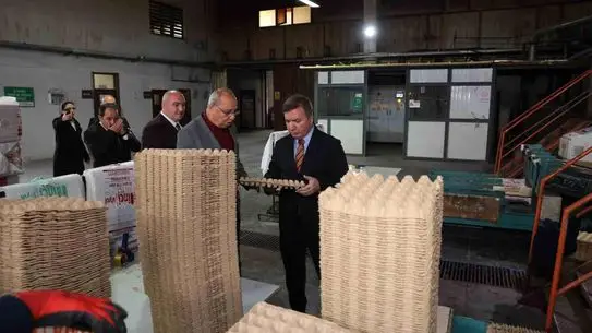 Viyol üretim hattı