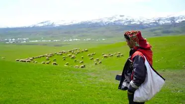 Kırsal Hayvancılıkta Yeni Dönem: Genç Besicilere Destek Projesi Hayata Geçti