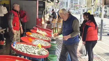 Güney Marmara ve Kuzey Ege’de Balıkçılar Düşük Fiyatlara Tepki Gösteriyor