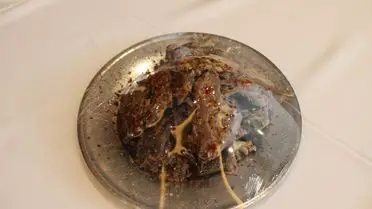 Sivas Kellesi’ne Coğrafi İşaret Tescili Resmen Onaylandı