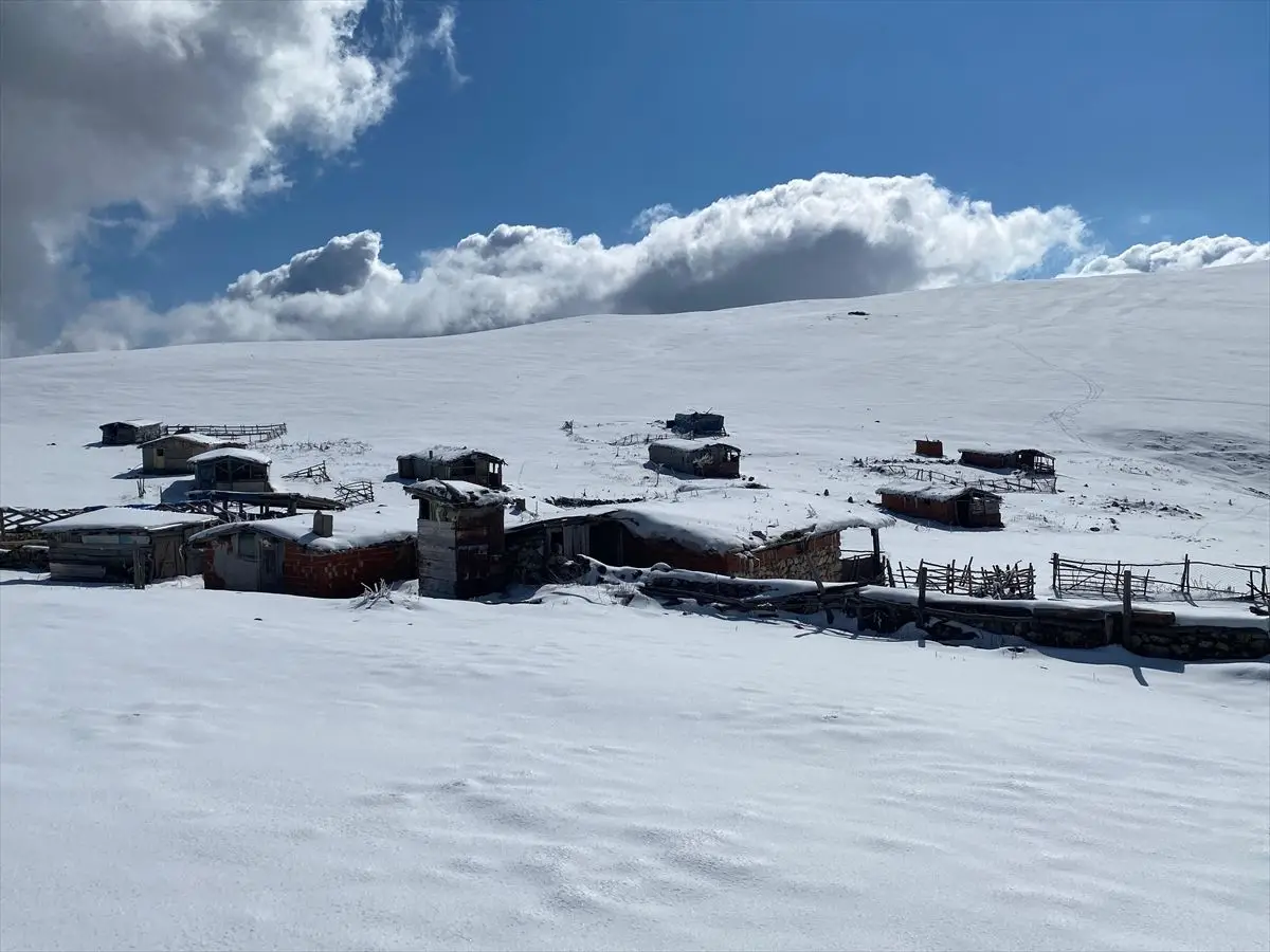 Amasya Taşova’da Kar Beyazıyla Büyülüyor: 15 cm Kalınlığında Kar Örtüsü