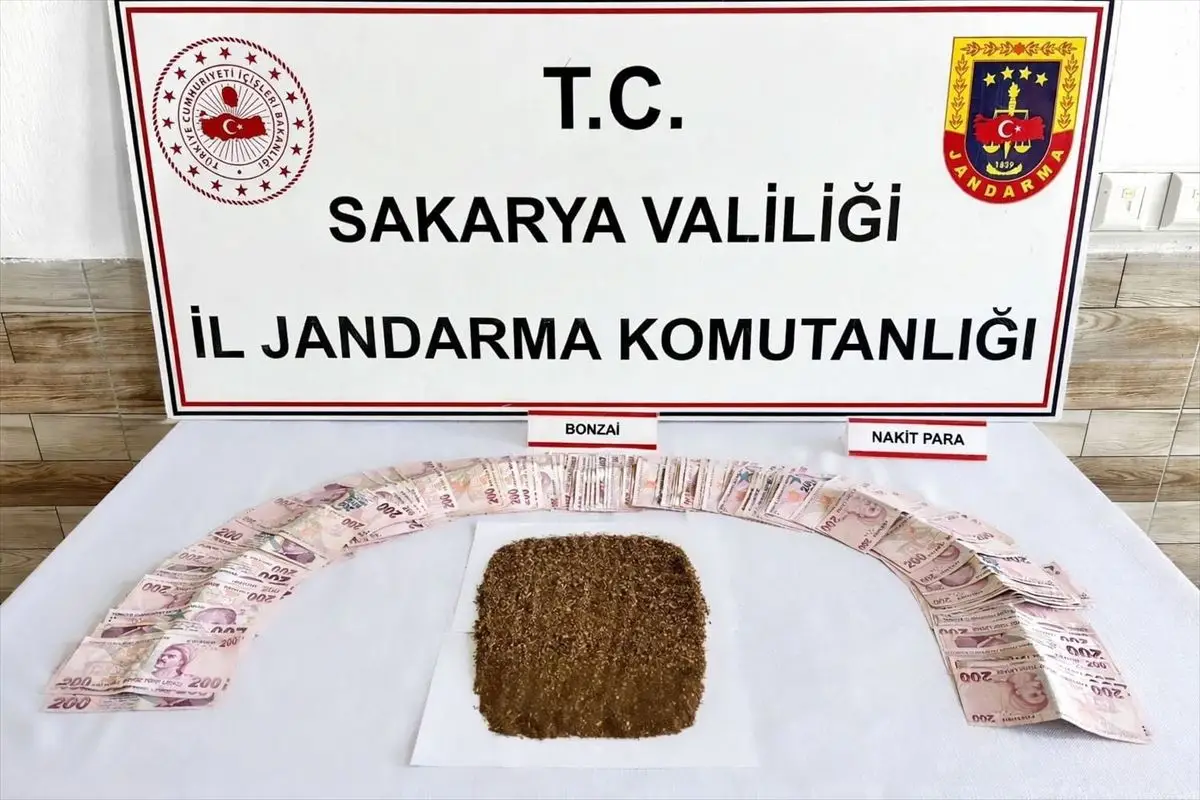 Sakarya'nın Karasu İlçesinde Uyuşturucu Satışı Operasyonu: 1 Şüpheli Tutuklandı