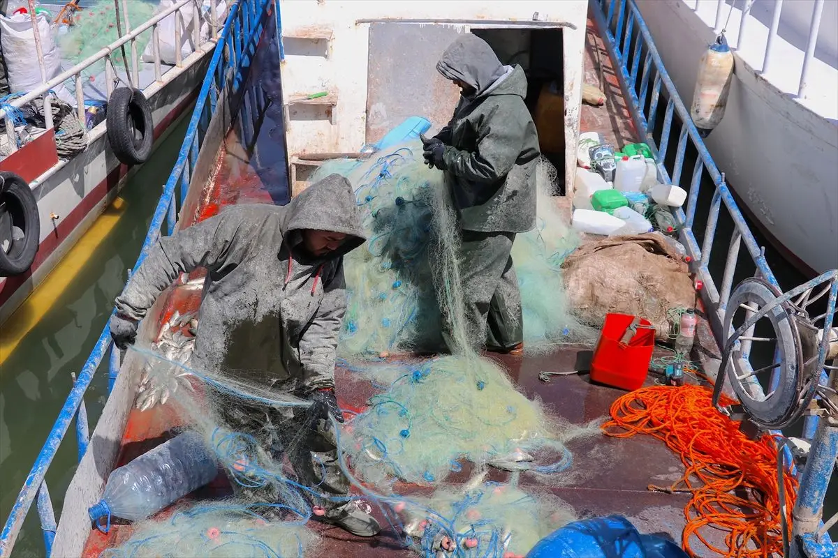 Van Gölü’nde İnci Kefali Nesli Korunuyor: 90 Günlük Av Yasağı Yarın Başlıyor