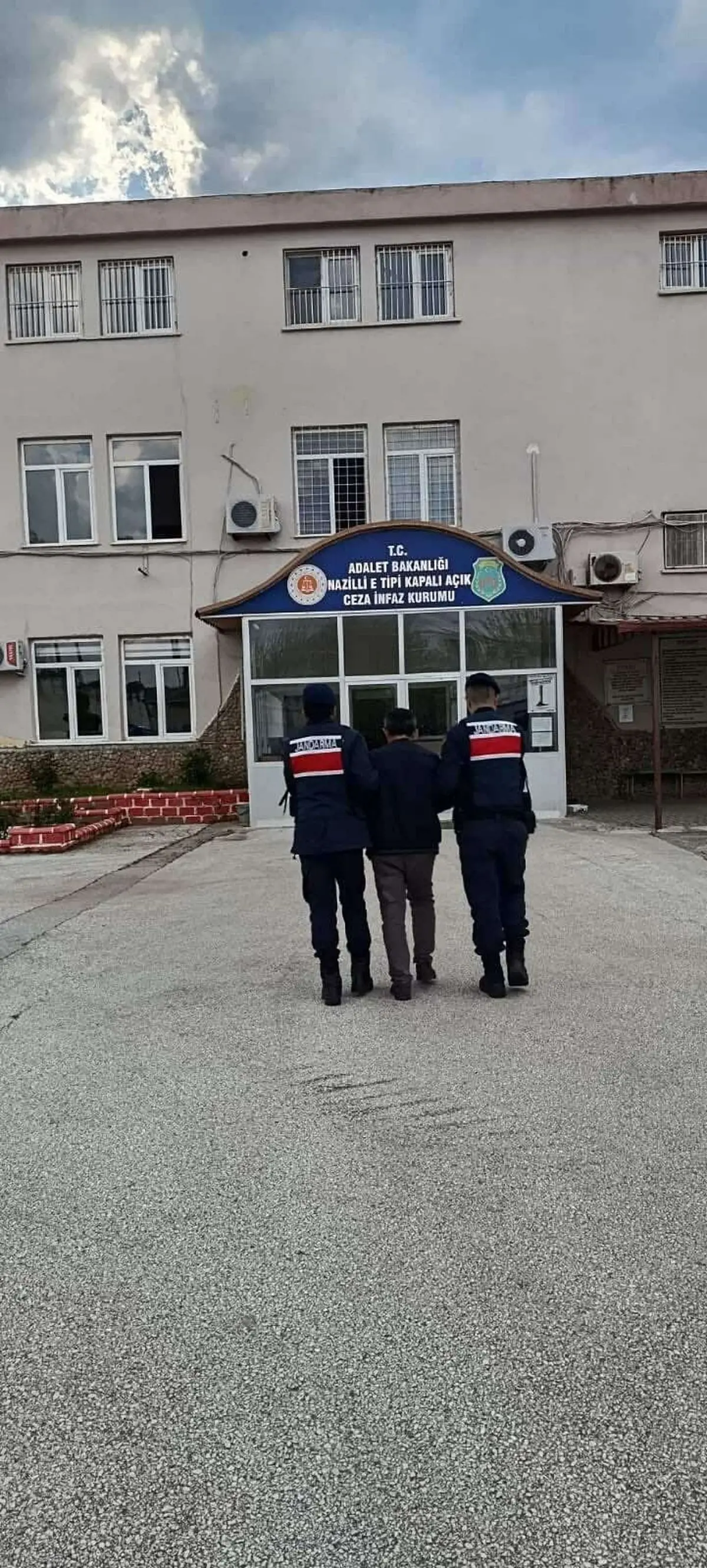 Nazilli'de Zeytin Bahçesinde Büyük Kenevir Operasyonu