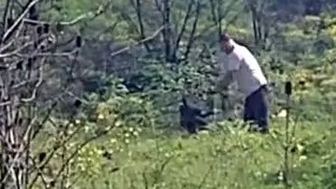 Avcılar’da Köpeğe Kemerle Vurulması Olayı Görüntülendi, Şüpheli Aranıyor