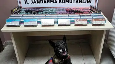 Kayseri’de 158 Paket Bandrolsüz Sigara ve 300 Elektronik Sigara Kartuşu Ele Geçirildi