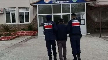 Nazilli'de Zeytin Bahçesinde Büyük Kenevir Operasyonu