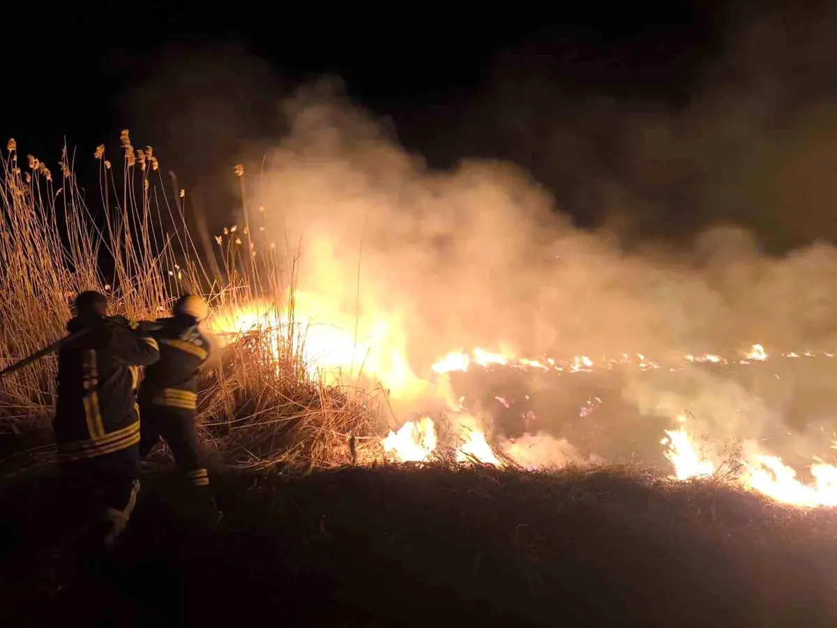 Erzincan Anız köyünde çıkan yangın