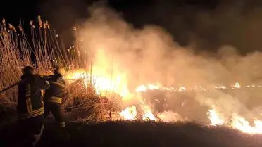 Erzincan’da Anız Köyü’nde Çıkan Orman Yangını Bölgeyi Korkuttu