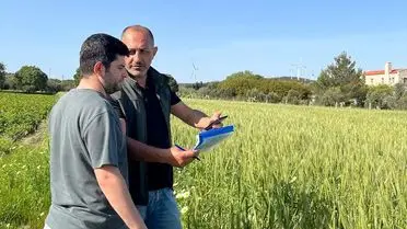 Datça’da Tarım Arazileri Üretim Kapasitesini Artırmak İçin Denetim Gerçekleştirildi