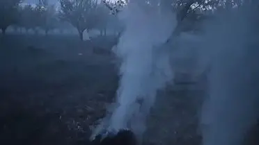 Iğdır Kayısı Çiftçileri Don Tehlikesine Karşı Gece Dumanlama Yöntemiyle Müdahale Ediyor