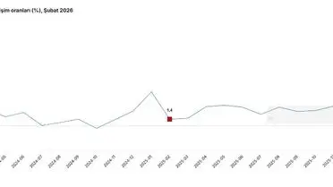 Şubat 2026'da Türkiye'nin hizmet sektörü %2,3 büyüdü