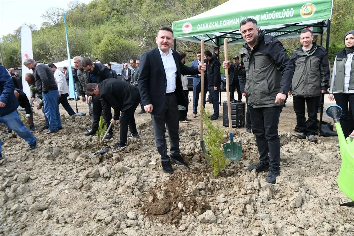 Lapseki'de Yeşil Bir Dokunuş: 300 Fidan Dikildi