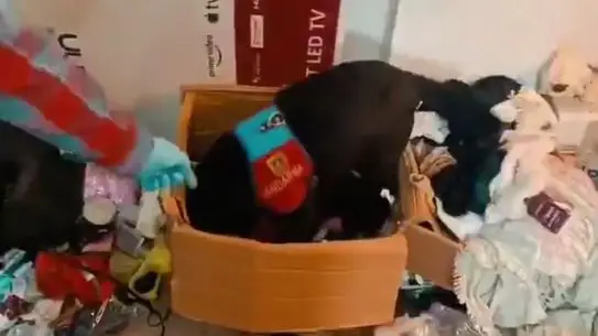 Bursa’da Jandarma’dan Uyuşturucu Operasyonu: 2 Şüpheli Tutuklandı