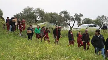 Serbest bırakılan kuşların uçuş anı